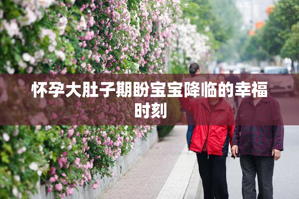 怀孕大肚子期盼宝宝降临的幸福时刻