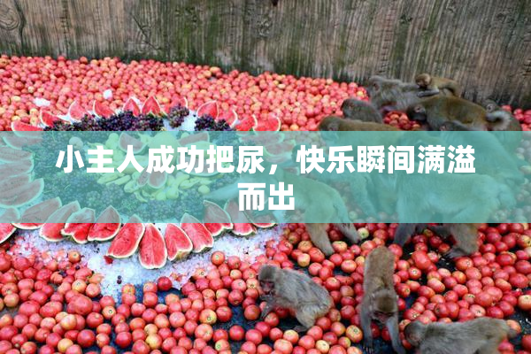 小主人成功把尿，快乐瞬间满溢而出
