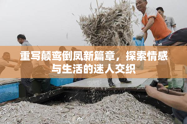 重写颠鸾倒凤新篇章，探索情感与生活的迷人交织