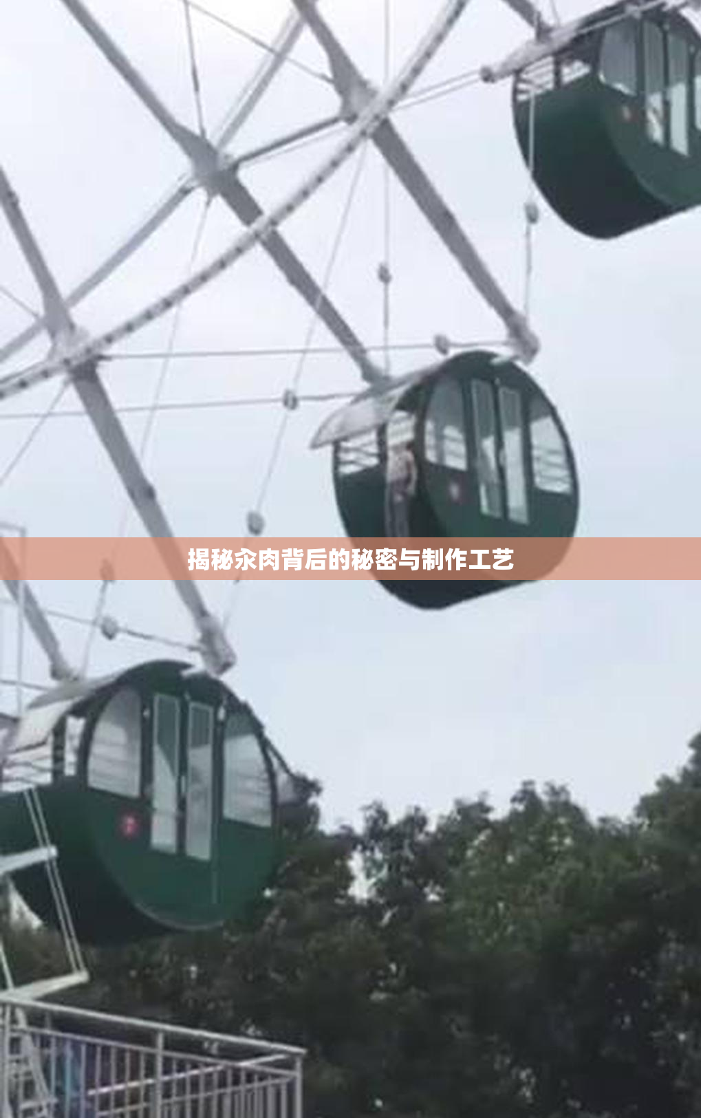揭秘汆肉背后的秘密与制作工艺