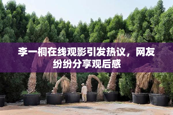 李一桐在线观影引发热议，网友纷纷分享观后感