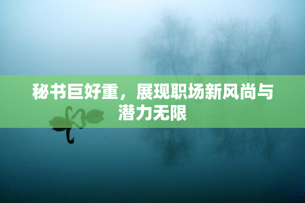 秘书巨好重，展现职场新风尚与潜力无限