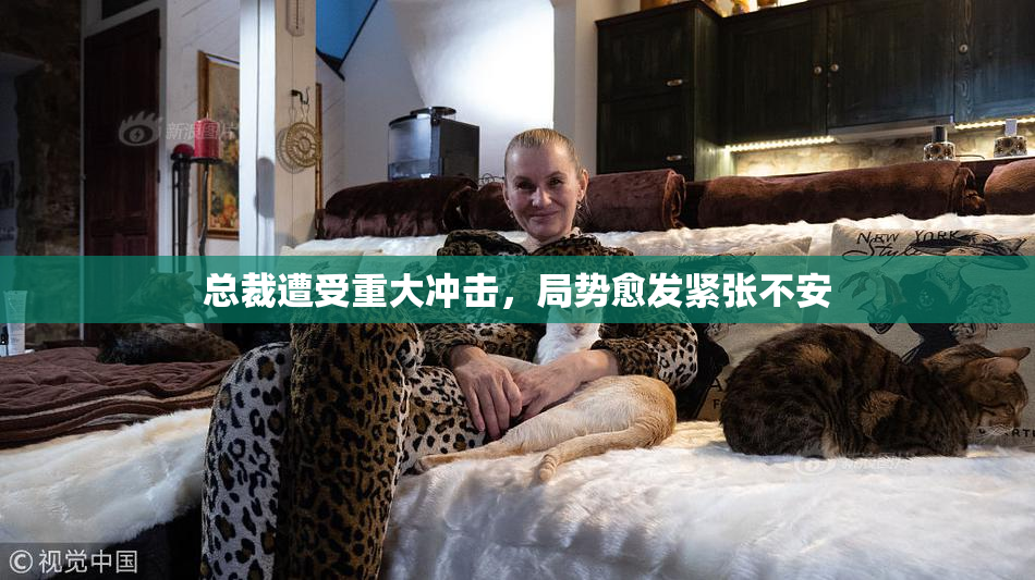 总裁遭受重大冲击，局势愈发紧张不安