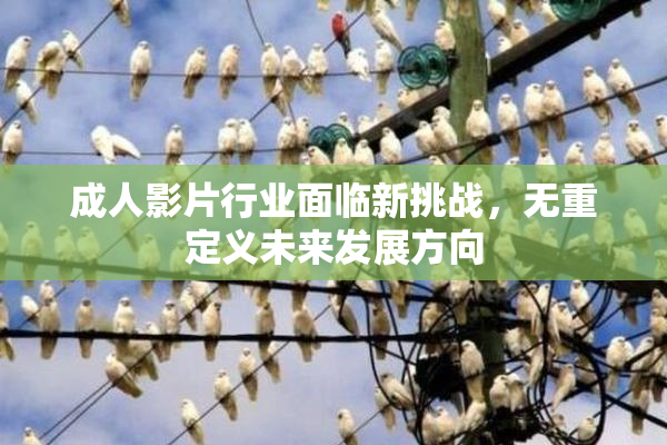 成人影片行业面临新挑战，无重定义未来发展方向
