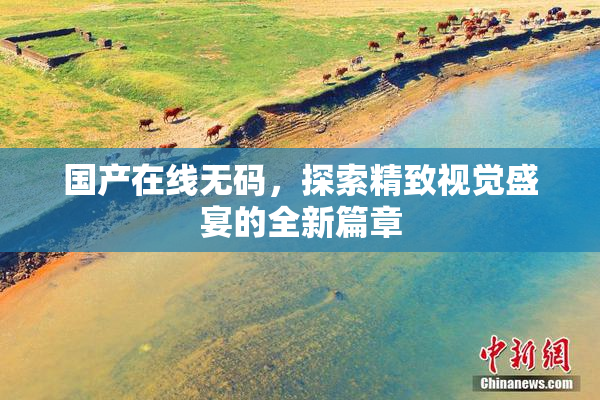 国产在线无码，探索精致视觉盛宴的全新篇章