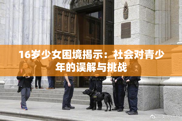 16岁少女困境揭示：社会对青少年的误解与挑战