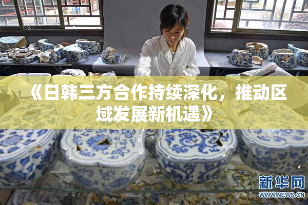 《日韩三方合作持续深化，推动区域发展新机遇》