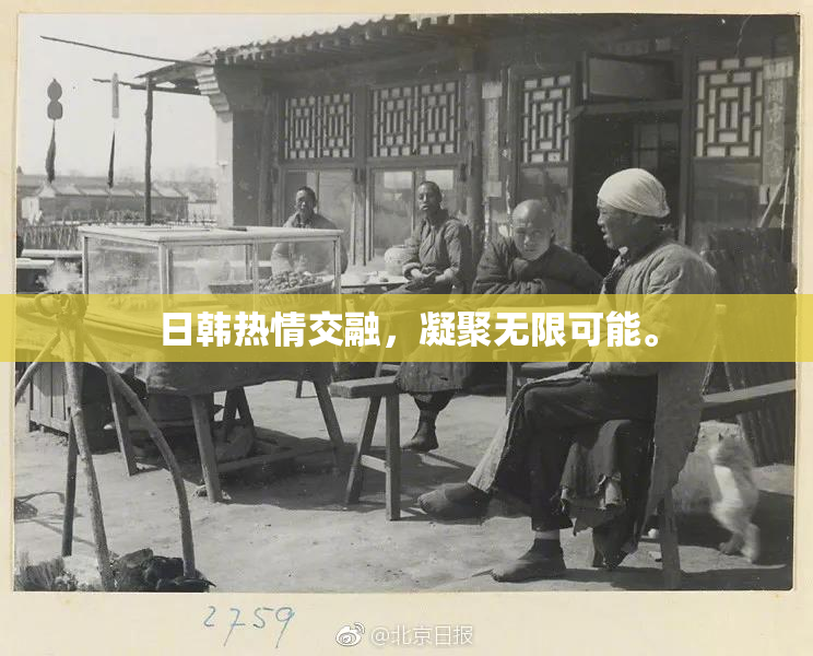 日韩热情交融，凝聚无限可能。