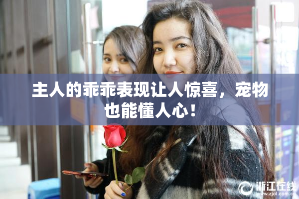 主人的乖乖表现让人惊喜，宠物也能懂人心！