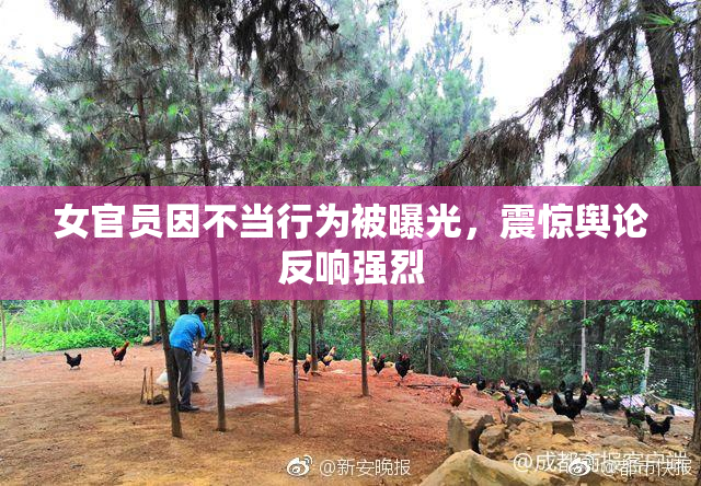 女官员因不当行为被曝光，震惊舆论反响强烈