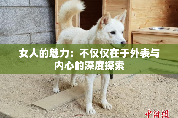 女人的魅力：不仅仅在于外表与内心的深度探索