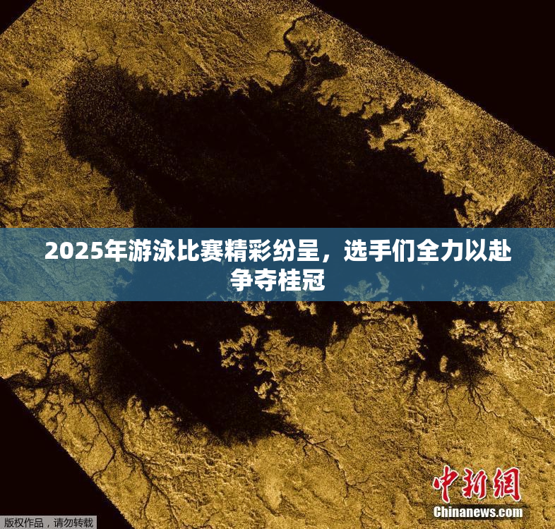 2025年游泳比赛精彩纷呈，选手们全力以赴争夺桂冠