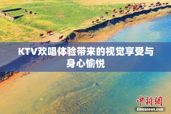 KTV欢唱体验带来的视觉享受与身心愉悦