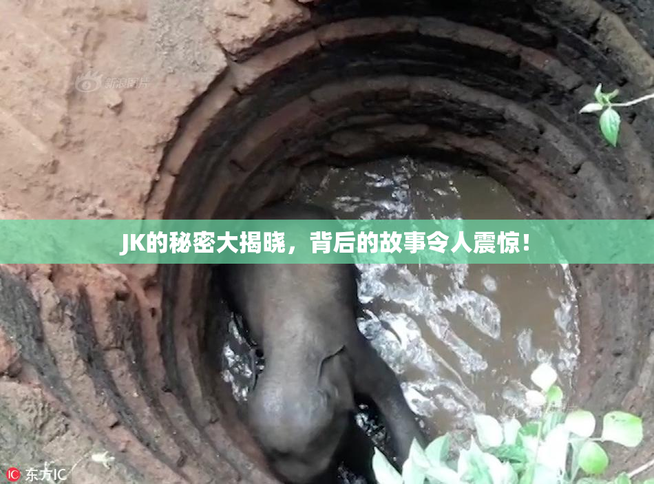 JK的秘密大揭晓，背后的故事令人震惊！