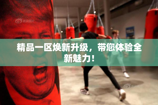 精品一区焕新升级，带您体验全新魅力！