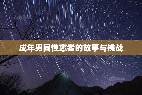 成年男同性恋者的故事与挑战