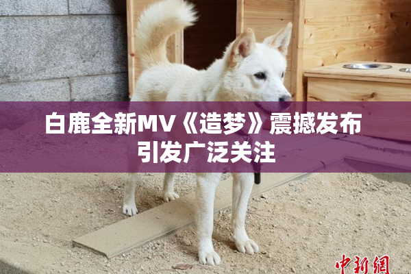 白鹿全新MV《造梦》震撼发布 引发广泛关注
