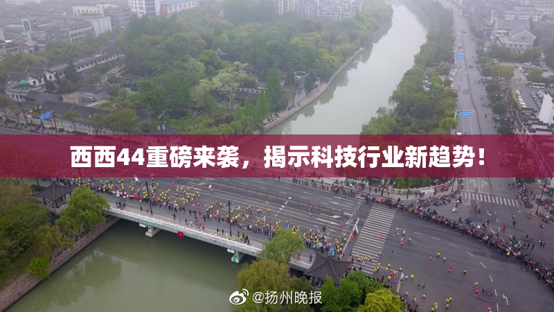 西西44重磅来袭，揭示科技行业新趋势！