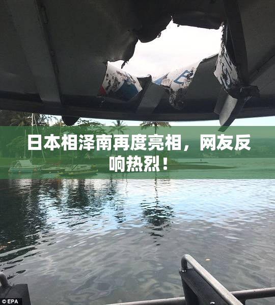 日本相泽南再度亮相，网友反响热烈！