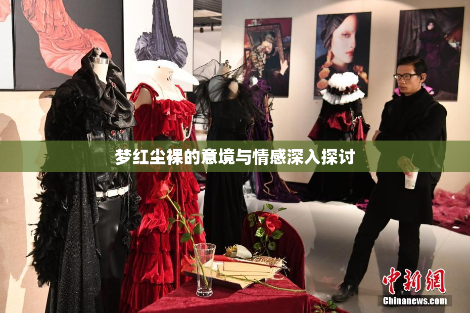梦红尘裸的意境与情感深入探讨