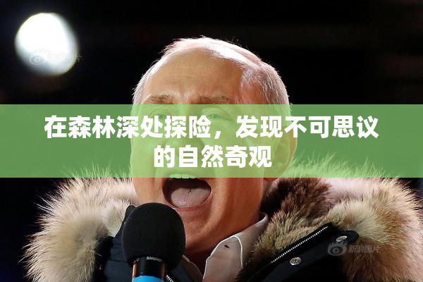 在森林深处探险，发现不可思议的自然奇观