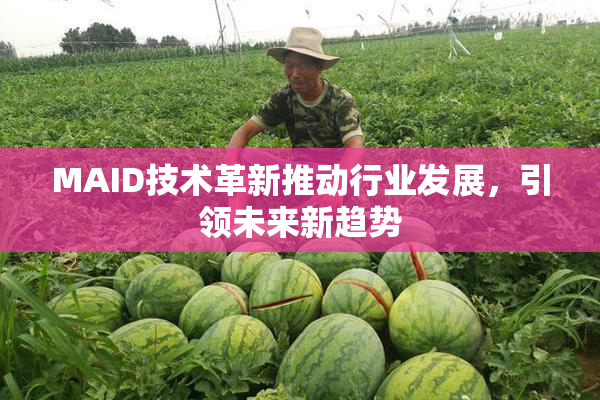 MAID技术革新推动行业发展，引领未来新趋势