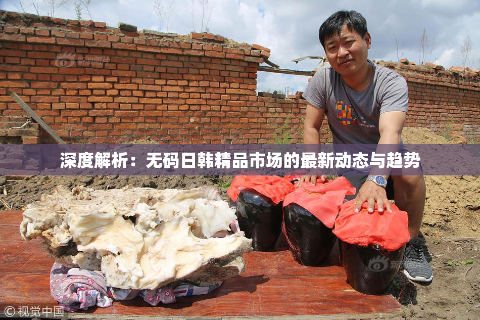 深度解析：无码日韩精品市场的最新动态与趋势