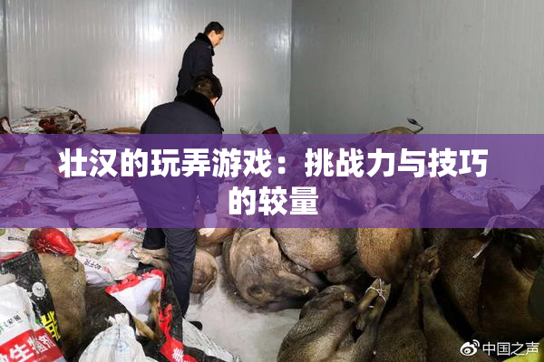 壮汉的玩弄游戏：挑战力与技巧的较量