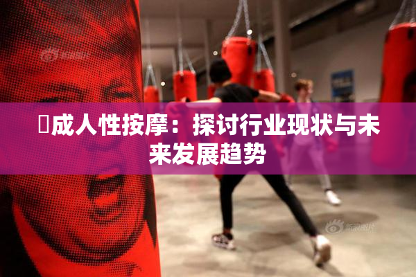 巜成人性按摩：探讨行业现状与未来发展趋势