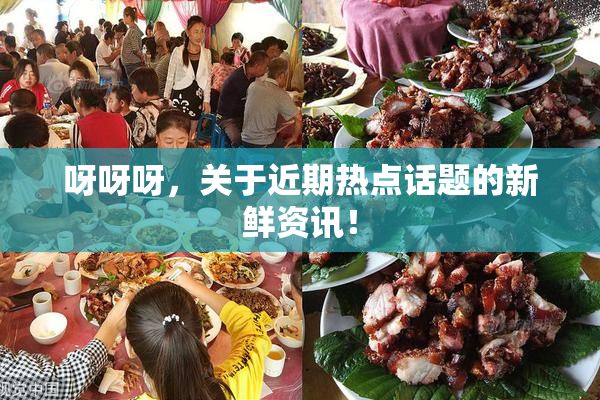 呀呀呀，关于近期热点话题的新鲜资讯！