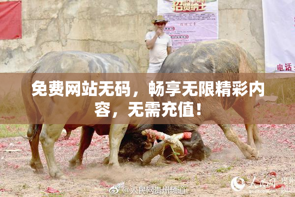 免费网站无码，畅享无限精彩内容，无需充值！