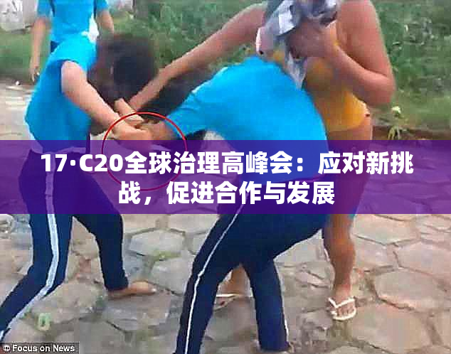 17·C20全球治理高峰会：应对新挑战，促进合作与发展