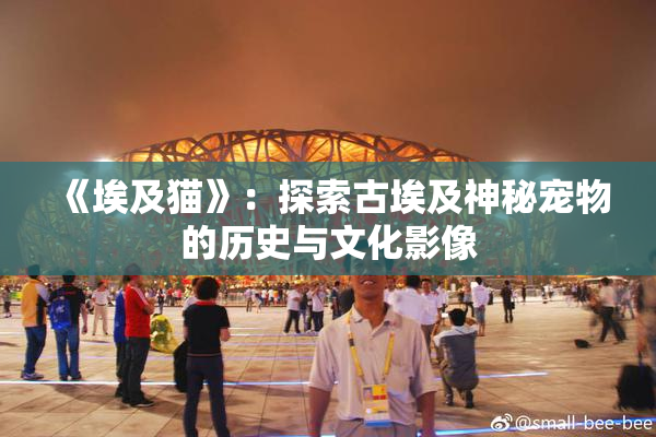 《埃及猫》：探索古埃及神秘宠物的历史与文化影像