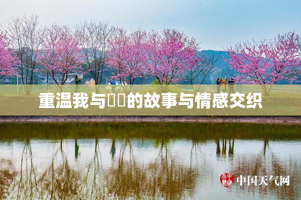 重温我与妺妺的故事与情感交织