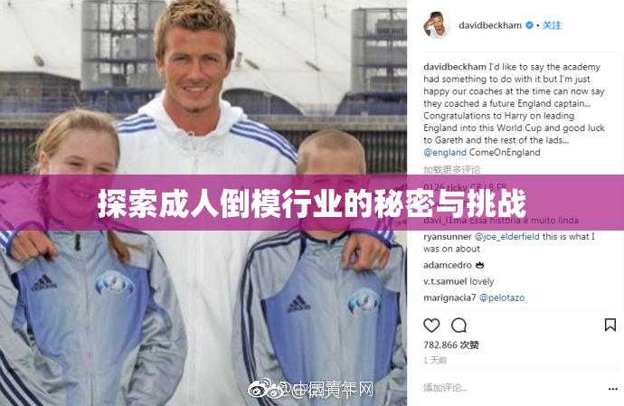 探索成人倒模行业的秘密与挑战