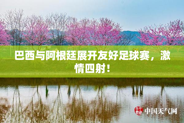 巴西与阿根廷展开友好足球赛，激情四射！