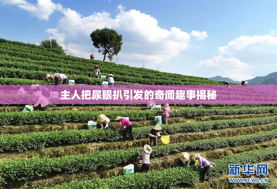 主人把尿眼扒引发的奇闻趣事揭秘