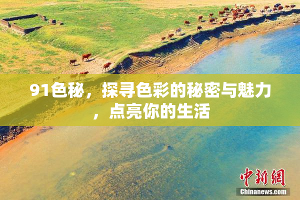 91色秘，探寻色彩的秘密与魅力，点亮你的生活