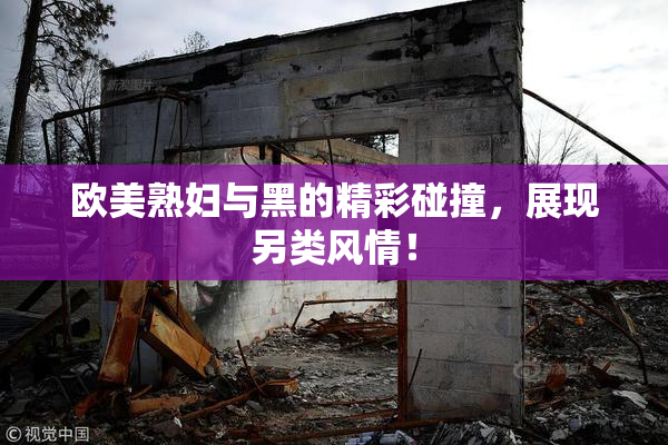 欧美熟妇与黑的精彩碰撞，展现另类风情！
