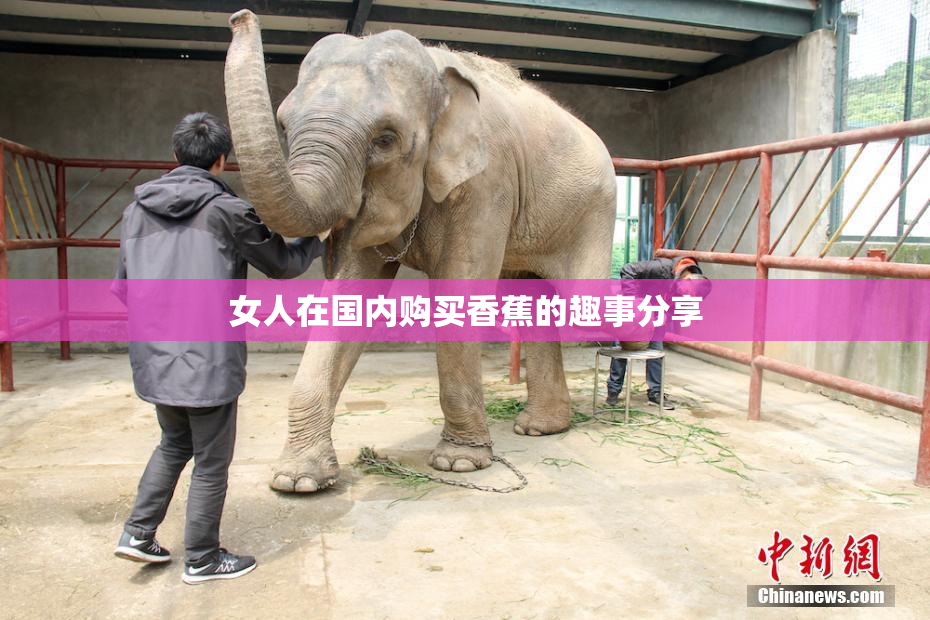 女人在国内购买香蕉的趣事分享