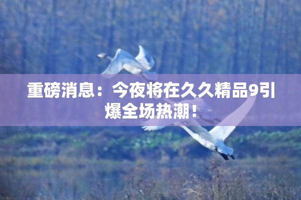 重磅消息：今夜将在久久精品9引爆全场热潮！