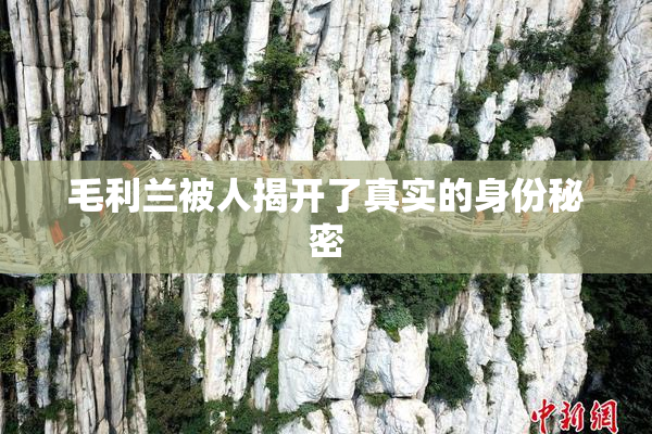 毛利兰被人揭开了真实的身份秘密