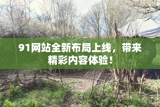 91网站全新布局上线，带来精彩内容体验！