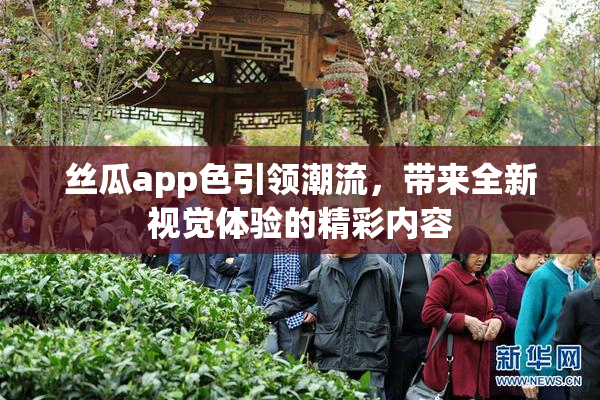 丝瓜app色引领潮流，带来全新视觉体验的精彩内容