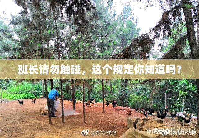 班长请勿触碰，这个规定你知道吗？
