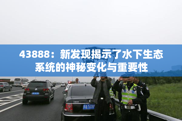 43888：新发现揭示了水下生态系统的神秘变化与重要性
