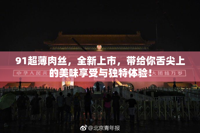 91超薄肉丝，全新上市，带给你舌尖上的美味享受与独特体验！
