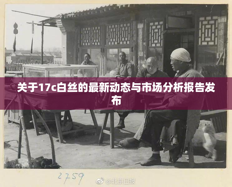 关于17c白丝的最新动态与市场分析报告发布