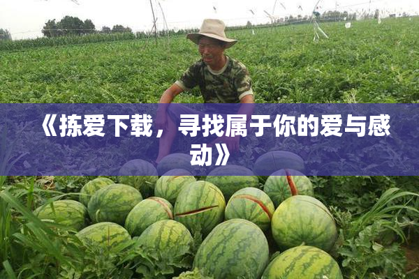 《拣爱下载，寻找属于你的爱与感动》