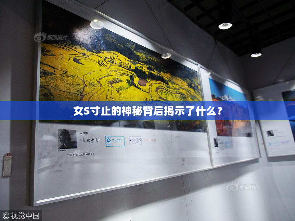 女S寸止的神秘背后揭示了什么？
